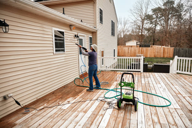 Best Local Pressure Washing Services  in South Alamo, TX