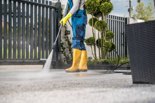 South Alamo, TX Pressure Washing Company