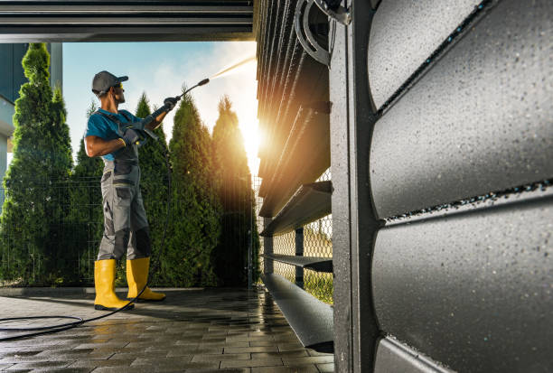 Best Residential Pressure Washing Services  in South Alamo, TX