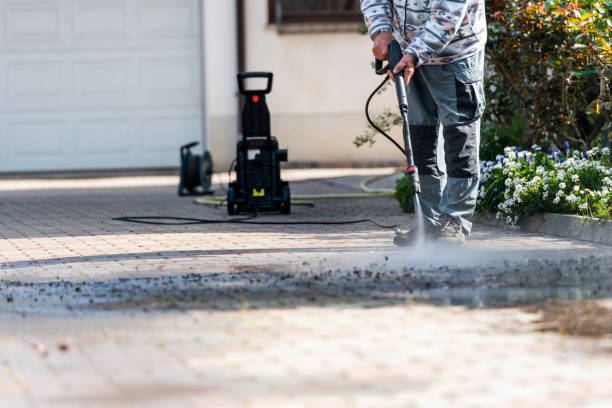 Best Sidewalk Pressure Washing  in South Alamo, TX