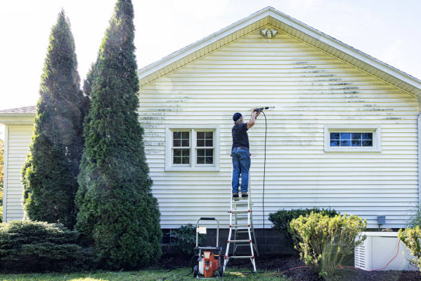 Best Commercial Building Pressure Washing  in South Alamo, TX