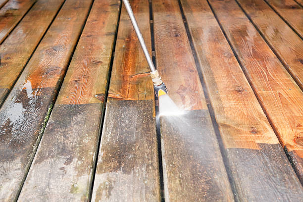 Local Pressure Washing Services in South Alamo, TX