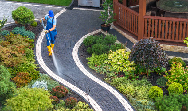 Best Residential Pressure Washing Services  in South Alamo, TX