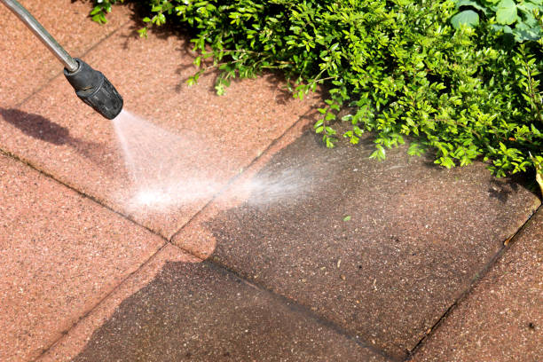 Best Best Pressure Washing Companies  in South Alamo, TX